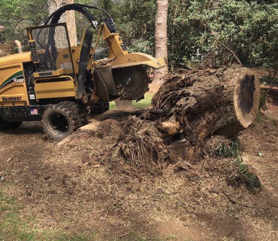 Residential Stump Grinding in the Atlanta, GA area